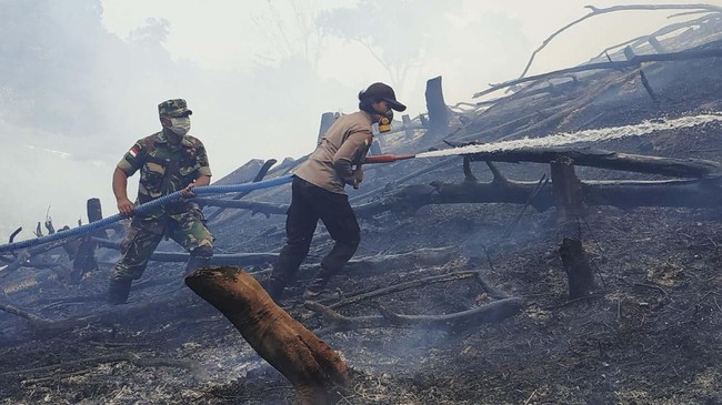 Foto Kebakaran Hutan Dan Lahan Di Kalimantan
