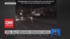 VIDEO: Viral Bule Mengamuk Resahkan Warga