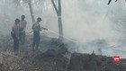 VIDEO: 2.500 Hektare Lahan Terbakar di Palangka Raya