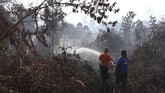 Dua petugas Manggala Agni Daops Pontianak menyemprotkan air di lokasi kebakaran lahan di Kabupaten Mempawah, Kalbar, 9 Agustus 2019. Saat Presiden RI Jokowi melawat ke PM Malaysia Mahathir Muhammad pada hari yang sama, mengaku malu karena kunjungannya saat ada masalah kabut asap karhutla. (ANTARA FOTO/Rana Larasati)