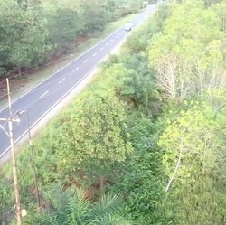 Ibu Kota Bakal ke Kalimantan, Bagaimana Persiapan Huniannya?