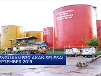 Jokowi 'Kekeuh' Terapkan B30 pada 2020
