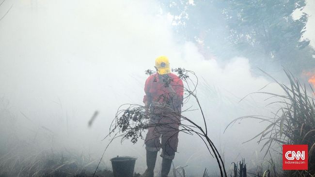 Walhi Soal Karhutla: Pemerintah Gagal Amanatkan Konstitusi