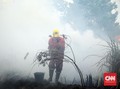 Walhi Soal Karhutla: Pemerintah Gagal Amanatkan Konstitusi