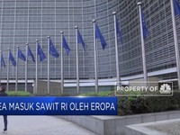 Soal Sawit, RI Siap Balas Bea Masuk Eropa