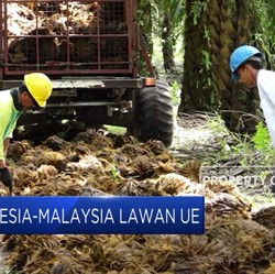 Eropa Siksa RI, Nasib 3 Juta Petani Sawit di Ujung Tanduk