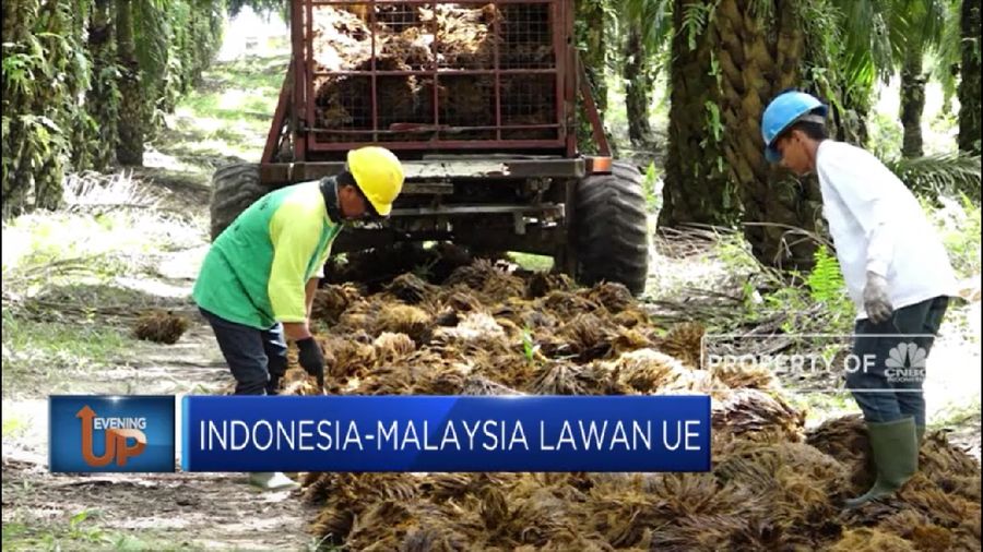Indonesia-Malaysia Lawan Uni Eropa