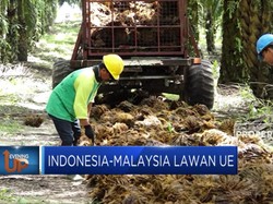 Tarif Biodiesel Berlaku, Indonesia-Malaysia Lawan Uni Eropa