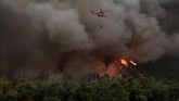 Saat itu kobaran api yang mendadak terbawa angin memerangkap penduduk yang bepergian di dalam mobil dan sedang menyelamatkan diri. Sebagian malah tenggelam ketika menghindari kebakaran itu. (AP Photo/Yorgos Karahalis)