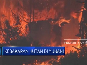 Kebakaran Hutan di Yunani, Empat Desa Mengungsi