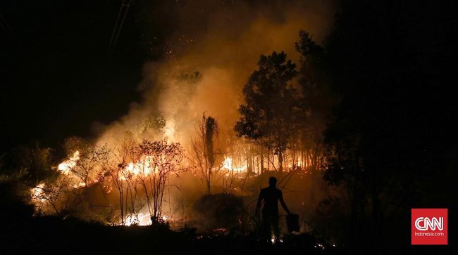 Marak Kahutla, Walhi Minta Pemerintah Kaji Ulang Izin Lahan