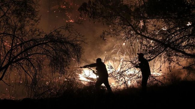 Kawasan Hutan di Lereng Gunung Merapi Terbakar