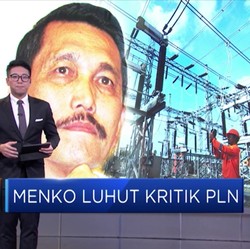 Menko Luhut Kritik PLN