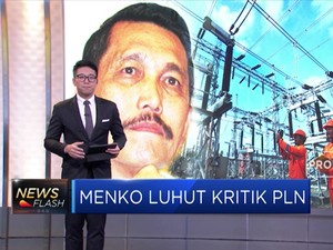 Menko Luhut Kritik PLN