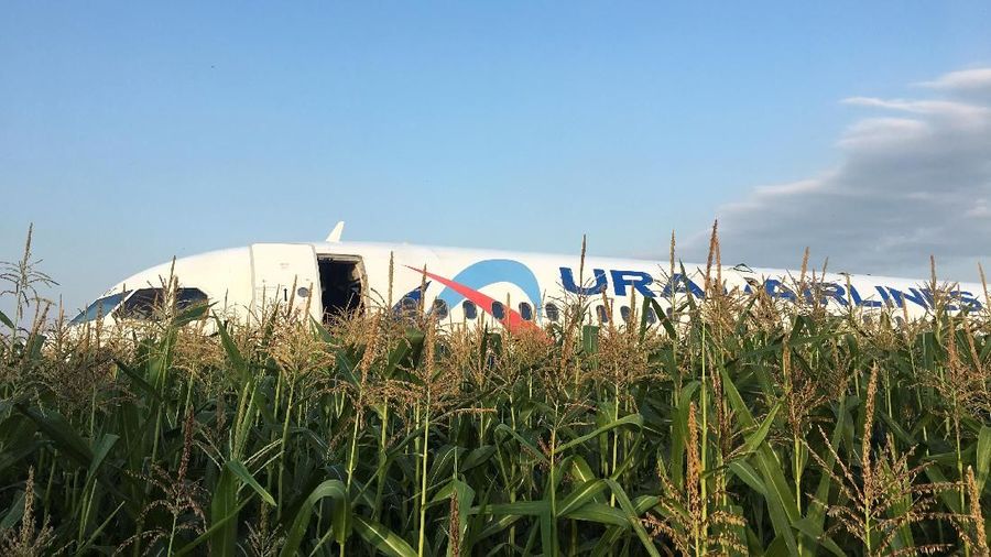 Pendaratan darurat maskapai asal Rusia di landasan tanah rumput.