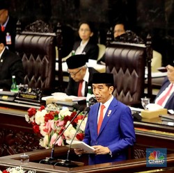 Jokowi Pindahkan Ibu Kota ke Kalimantan, Waspada Efek Negatif