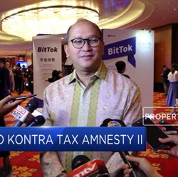 Pro Kontra Tax Amnesty II