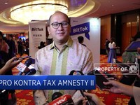 Pro Kontra Tax Amnesty II