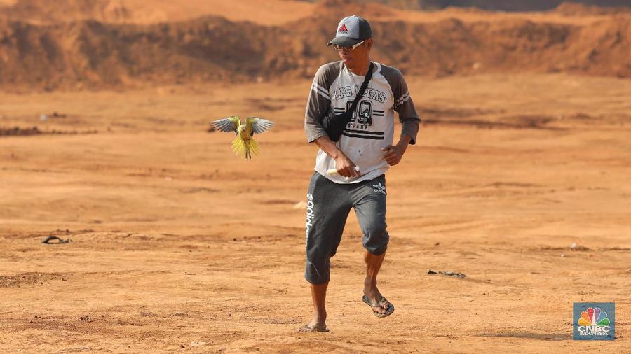 Free fly ini bak burung Merpati yang dilepas terbang ke angkasa. Burung yang memiliki nilai jual hingga puluhan juta rupiah.