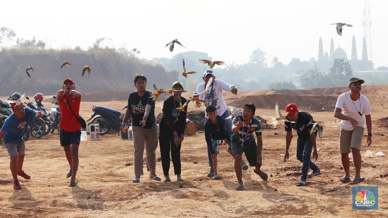 Free fly ini bak burung Merpati yang dilepas terbang ke angkasa. Burung yang memiliki nilai jual hingga puluhan juta rupiah.