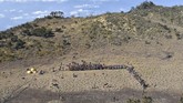 Gunung Lawu setinggi 3.265 meter di atas permukaan laut tersebut ramai dikunjungi pendaki pada momen liburan 17 Agustus. (ANTARA FOTO/Siswowidodo)