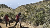 Pendaki melakukan pendakian di jalur Cemoro Sewu menuju puncak Gunung Lawu, Jawa Timur, Sabtu (17/8). (ANTARA FOTO/Siswowidodo)