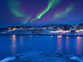 7 Fakta Greenland, Pulau Es yang Ingin Dibeli Trump