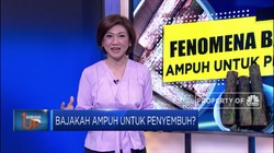 Menguji Keampuhan Bajakah Sebagai Penyembuh