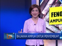 Menguji Keampuhan Bajakah Sebagai Penyembuh