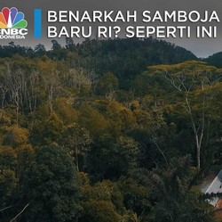 Benarkah Samboja Jadi Ibu Kota Baru RI? Ini Lokasinya