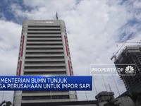 Impor Daging Sapi, Menteri Rini Tunjuk Tiga Perusahaan