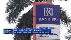 Pinang Jadi Senjata BRI Bersaing di Fintech