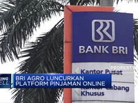 Pinang Jadi Senjata BRI Bersaing di Fintech