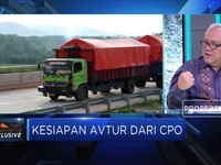 Indonesia Bersiap Produksi Avtur dari CPO