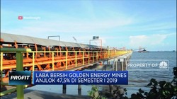Laba Bersih Golden Energy Anjlok 47,5%