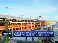 Laba Bersih Golden Energy Anjlok 47,5%