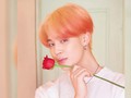 Jimin 'BTS' Ultah, ARMY Ramai-ramai Donor Darah