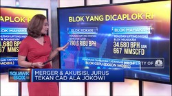 Merger & Akuisisi, Jurus Tekan CAD Ala Jokowi