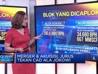 Merger & Akuisisi, Jurus Tekan CAD Ala Jokowi