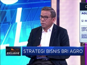 Strategi BRI Agro Naik Kelas Menjadi Bank Buku 3
