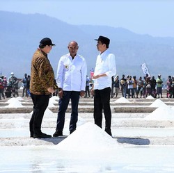 Jokowi Ungkap Masalah Kronis Garam Rakyat RI, Apa Saja?