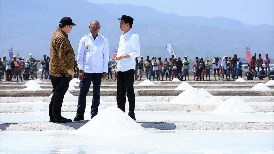 Jokowi meninjau tambak garam eks tanah Hak Guna Usaha (HGU), di Desa Nunkurus, Kecamatan Kupang Timur, Kabupaten Kupang, Rabu (21/8)  (dok. Kementerian Perindustrian)