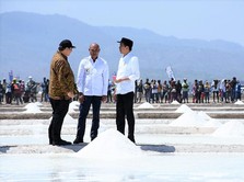 Saat Jokowi Kesal Ratusan Ribu Ton Garam tak Diserap Industri