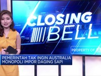 Siap-Siap! Sapi Impor Datang Dari Brasil
