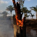 Kacau! 9 Kepala Daerah Tak Peduli Soal Kebakaran Hutan