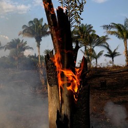 Kacau! 9 Kepala Daerah Tak Peduli Soal Kebakaran Hutan