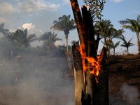Kacau! 9 Kepala Daerah Tak Peduli Soal Kebakaran Hutan