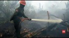 VIDEO: 59 Titik Panas di Pekanbaru Terpantau Akibat Karhutla