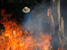 Presiden Brasil Jadi Biang Kerok Terbakarnya Hutan Amazon?
