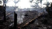 Kebakaran Di Hutan Amazon